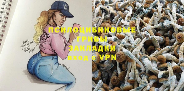 тгк Богородицк