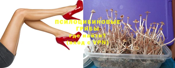марки lsd Богданович