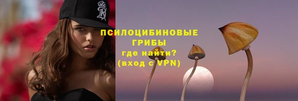 тгк Богородицк