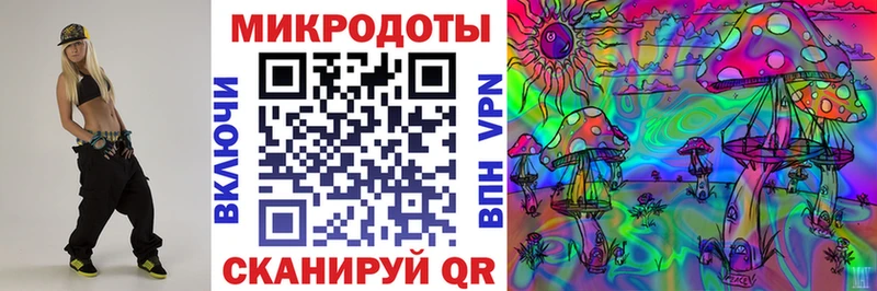 как найти закладки  Пушкино  hydra зеркало  Псилоцибиновые грибы Psilocybe 